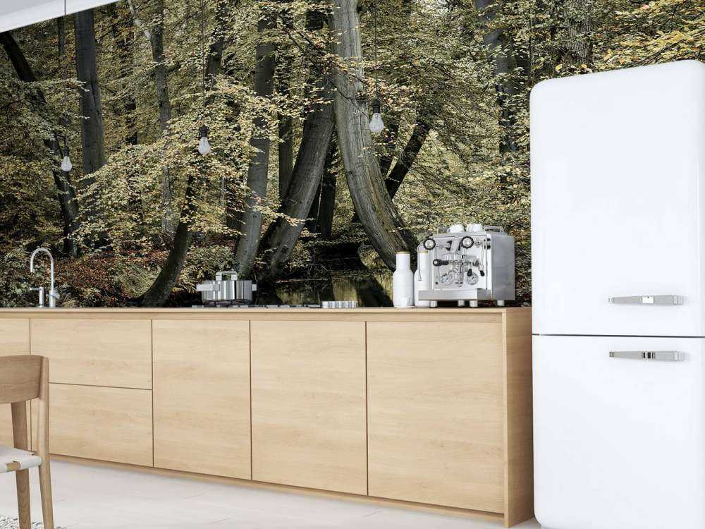 Ruscello con alberi sospesi