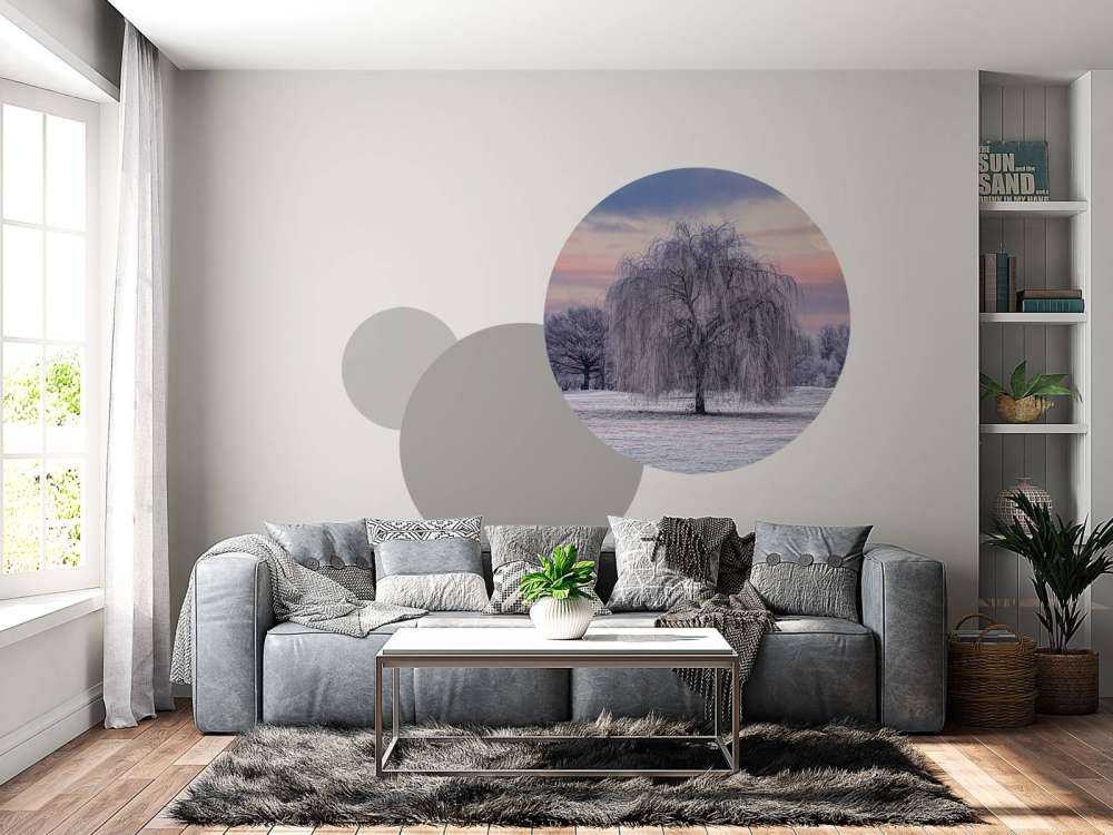 Albero ricoperto di brina