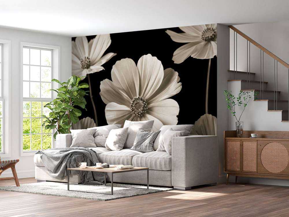 Fiore multiplo di Cosmos