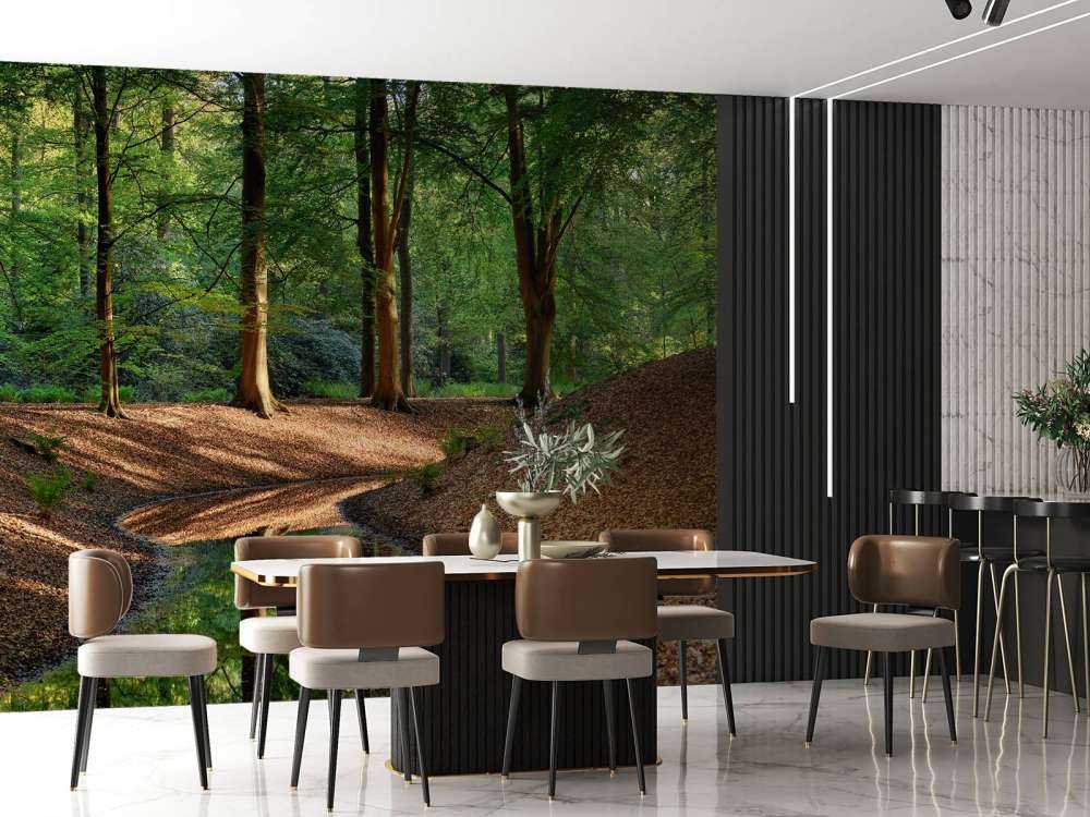 Brooklet nella foresta 