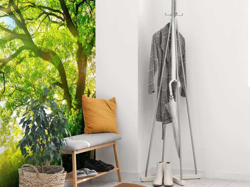 Albero con raggi di sole