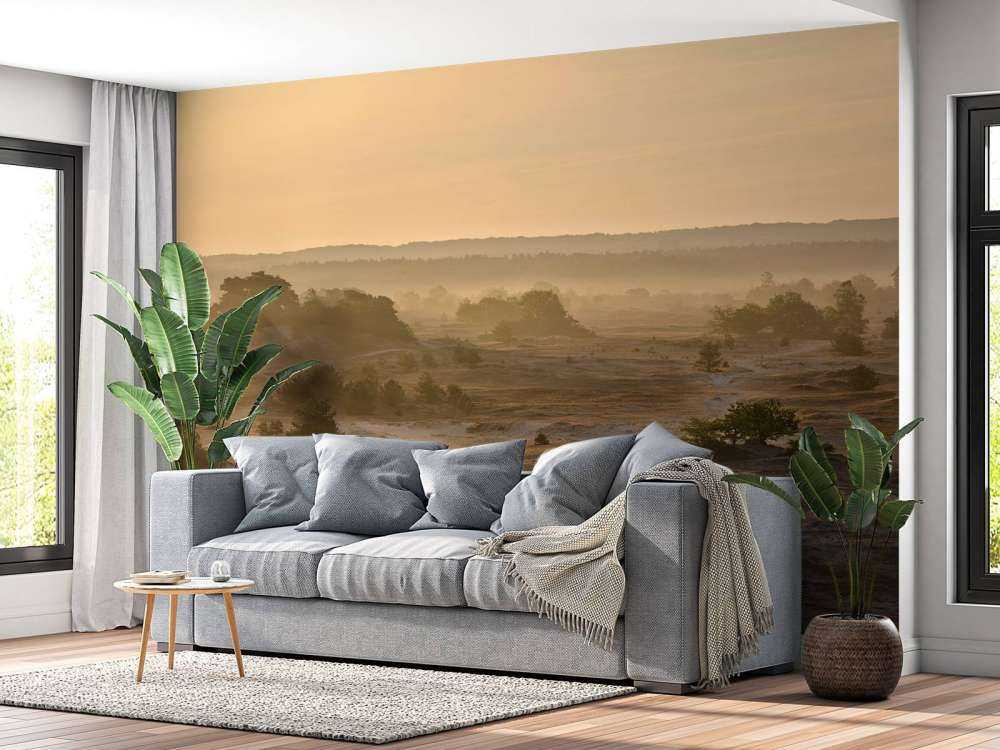 Sabbia di Kootwijker