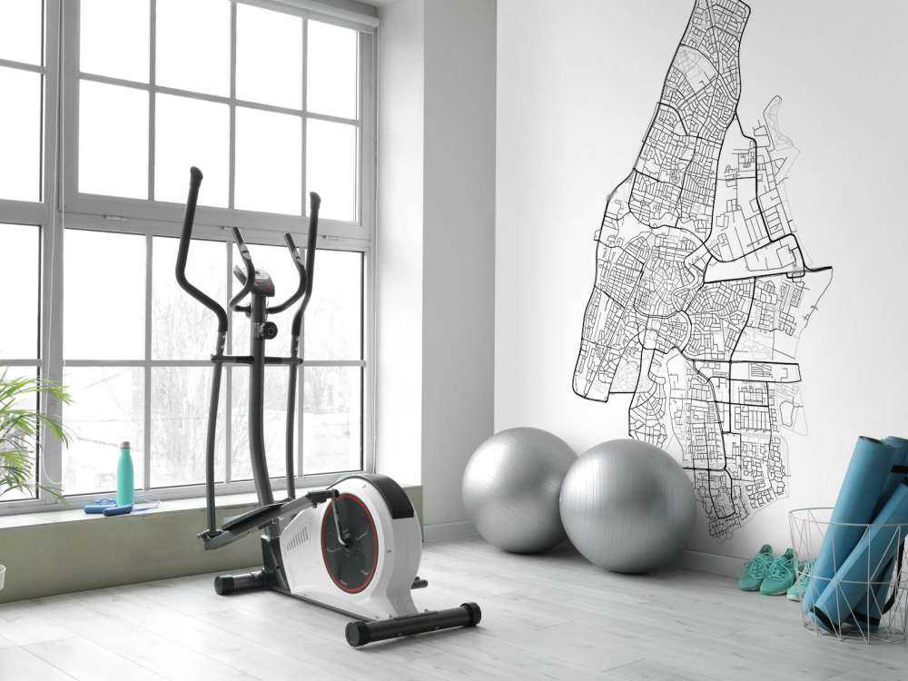 Mappa di Haarlem, bianco