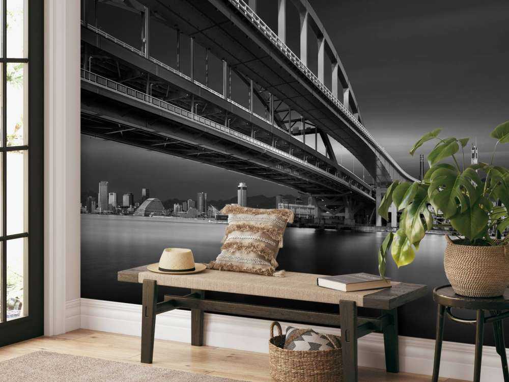 The Land of Coonectons 1: Over the Rainbow