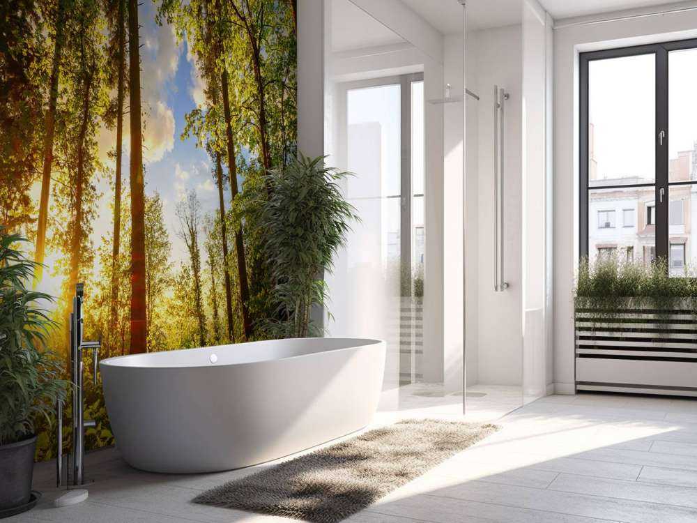 Tramonto tra gli alberi