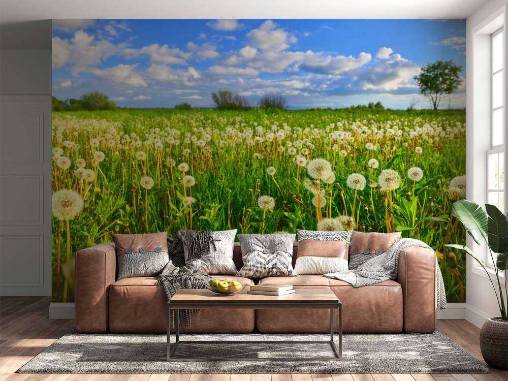 Campo di denti di leone