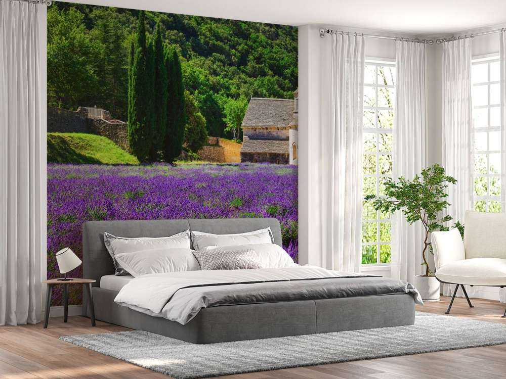 Campo di lavanda fata