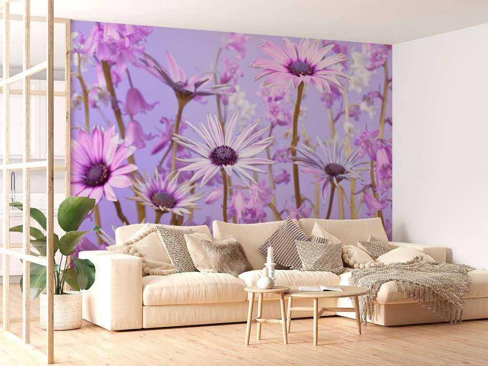 Fiori viola colorati