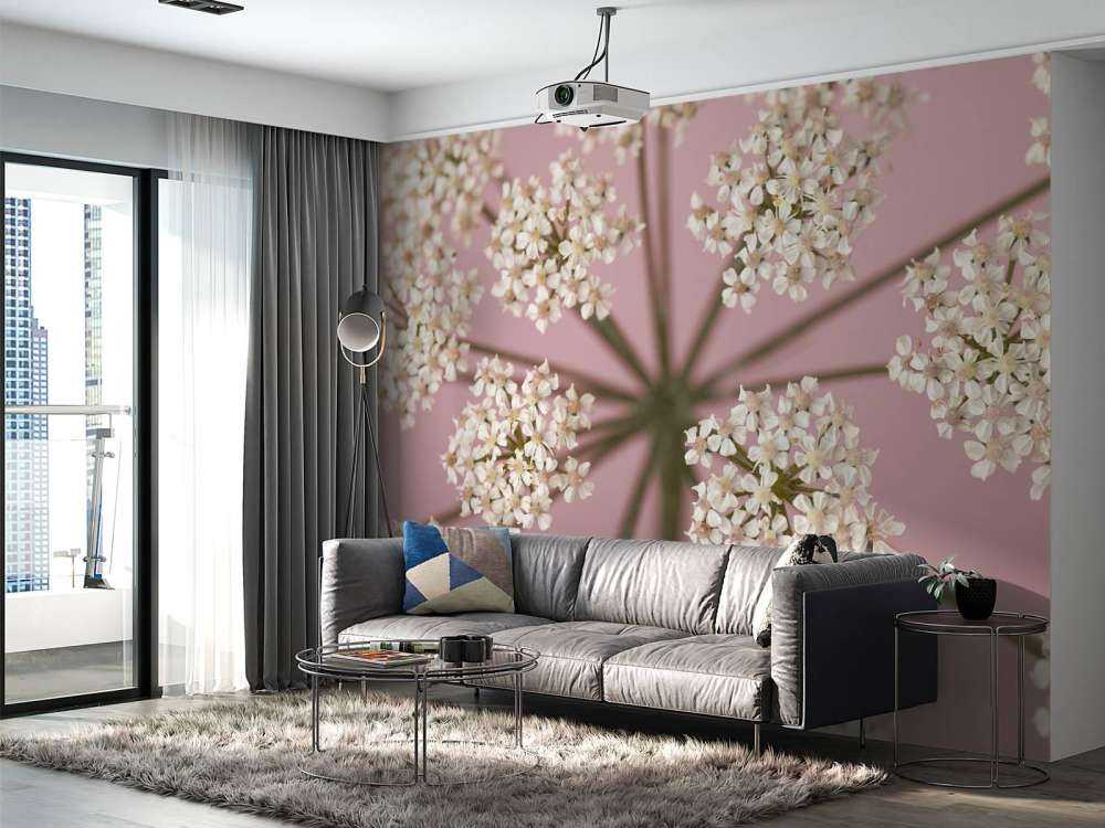 Prezzemolo della mucca bianca