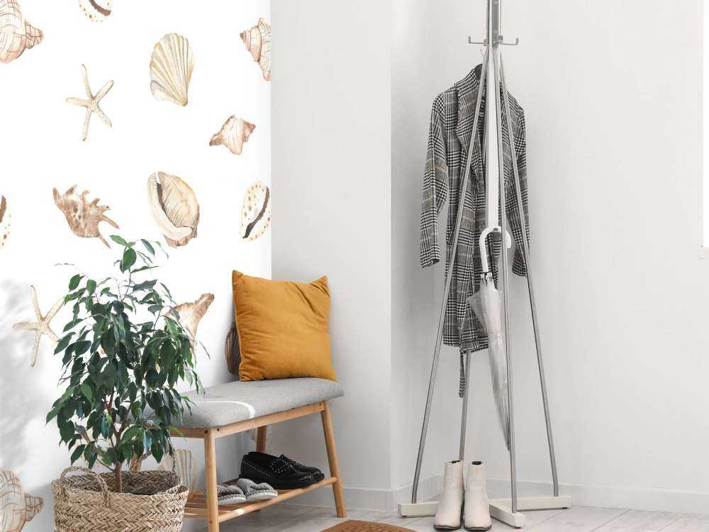 Acquerello conchiglie