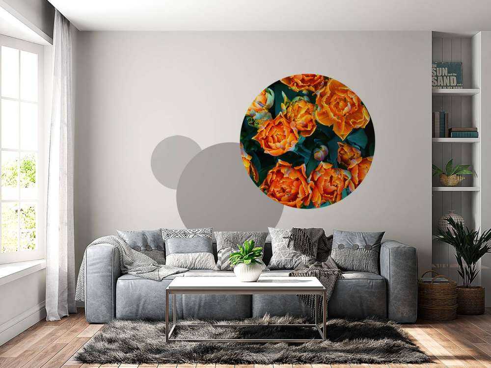 Tulipani arancioni ravvicinati