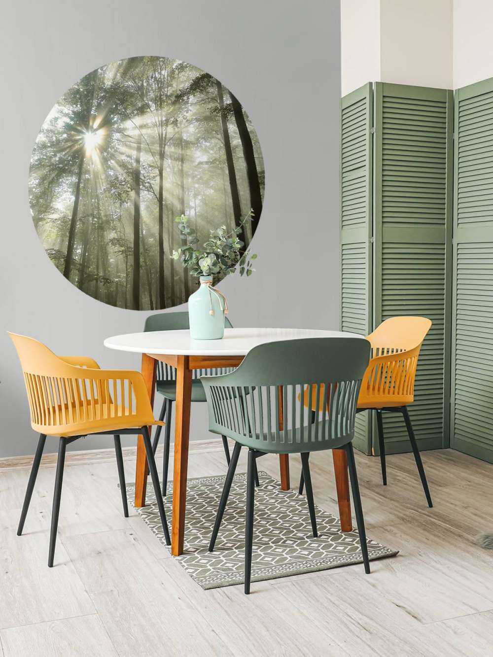 Foresta con la nebbia