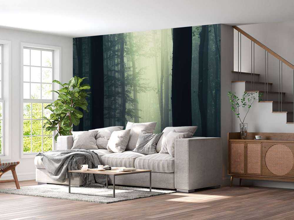 Raggio di sole nella foresta