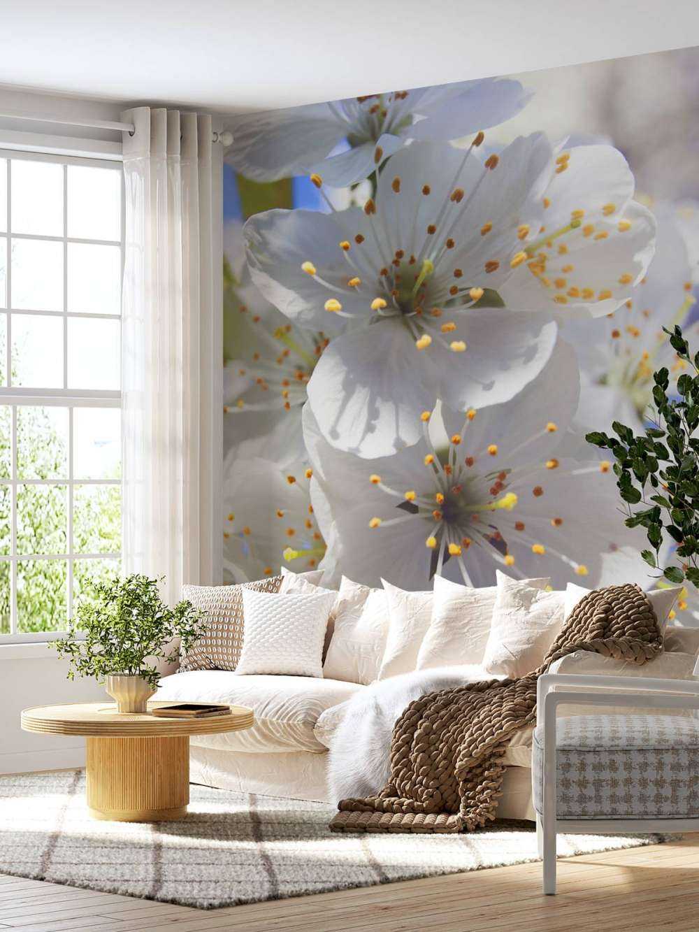 Fiori bianchi ravvicinati