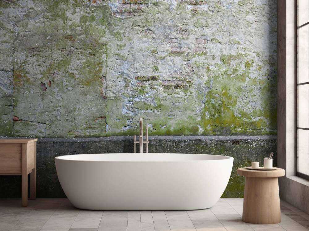 Muschio su un vecchio muro