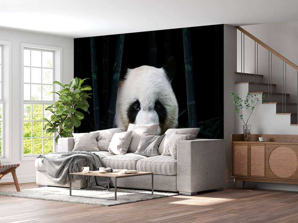 Panda nella giungla