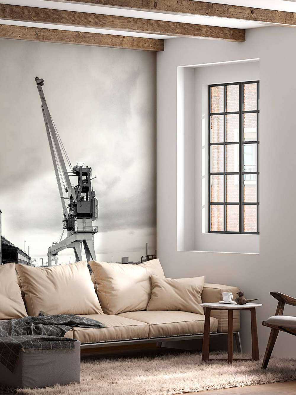 Gru portuale nell'ex sito RDM di Heijplaat Rotterdam 