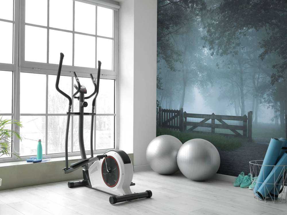 Sentiero della foresta nebbiosa