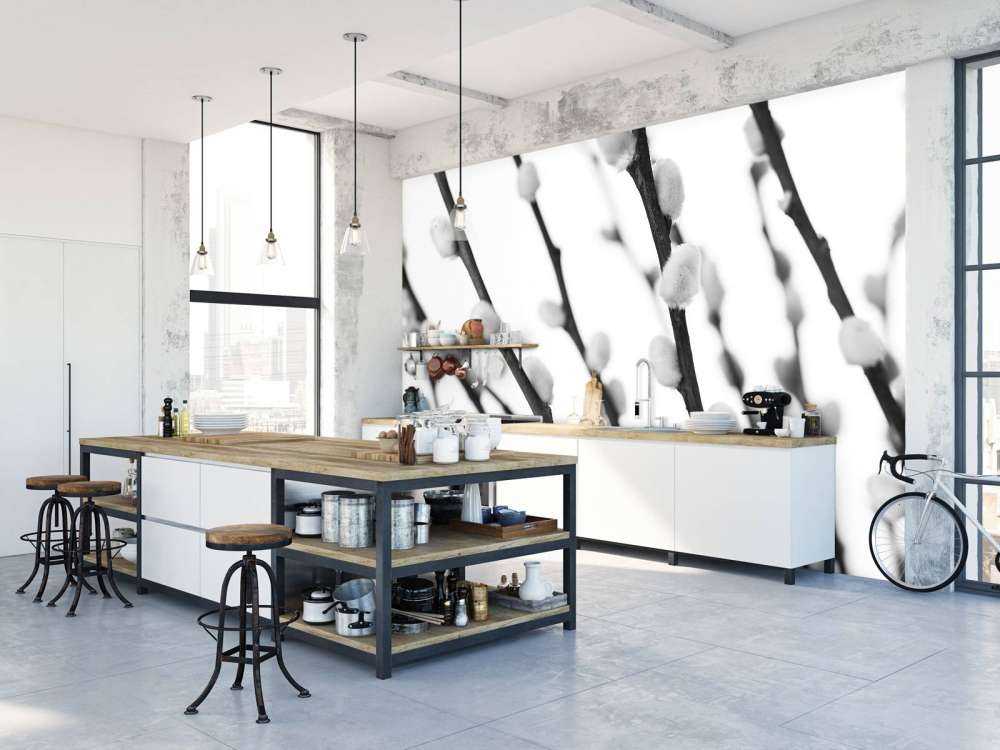 Salice bianco e nero