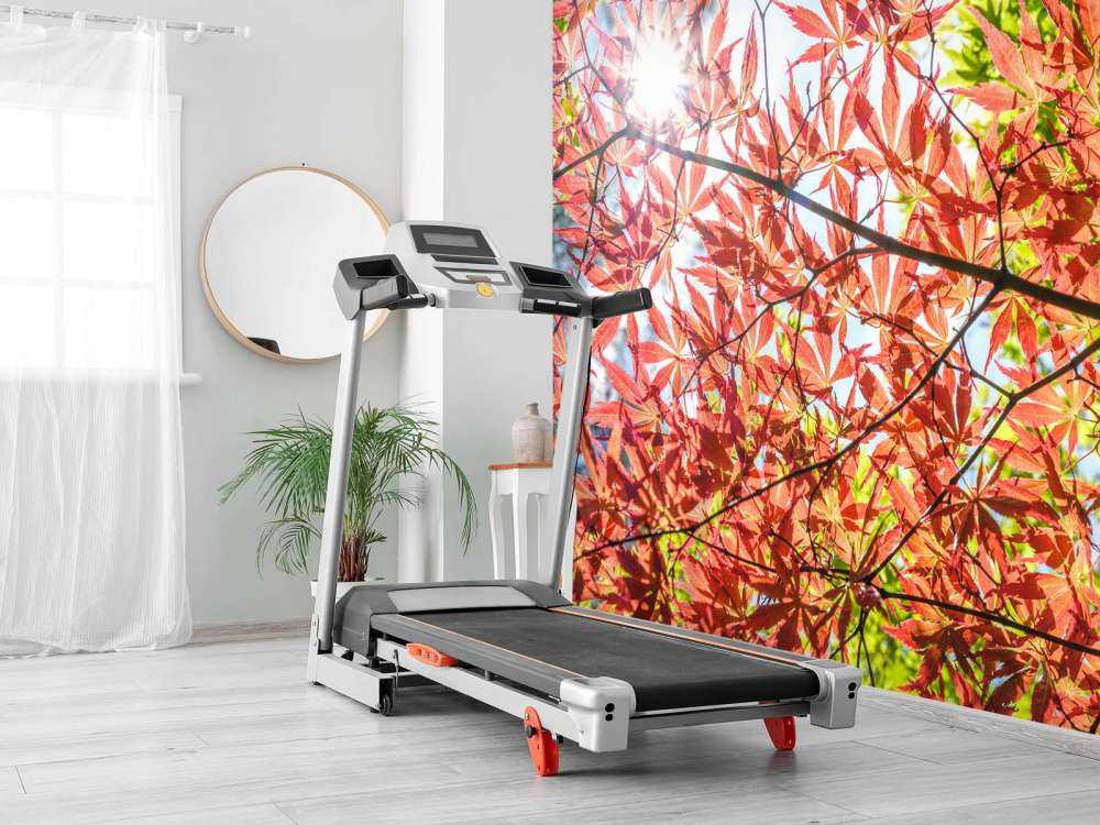 Foglie rosse d'autunno