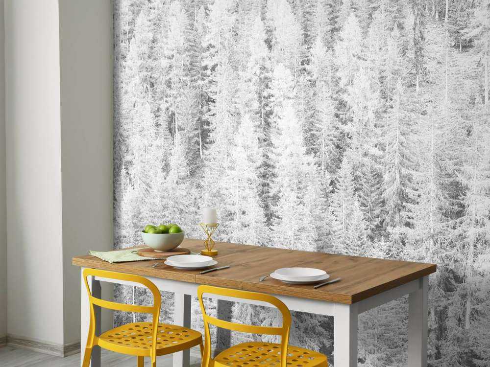 Conifere in bianco e nero