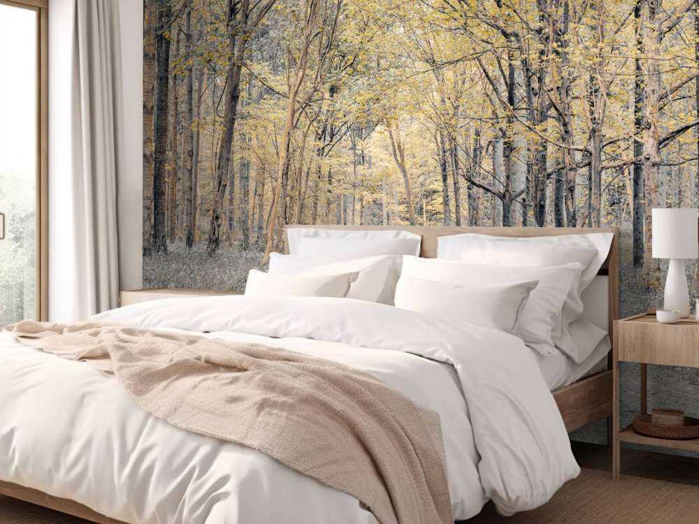 Strada forestale in autunno