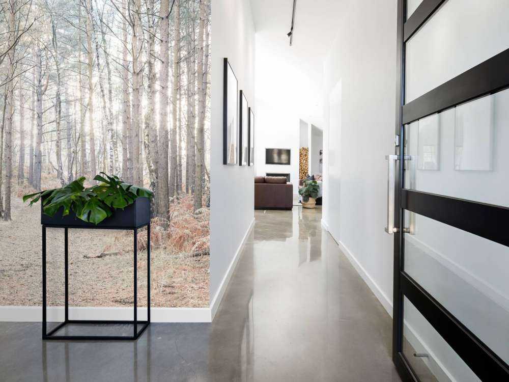 Sentiero sabbioso attraverso la foresta