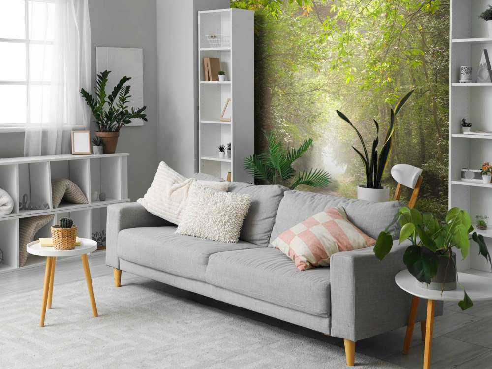 Sentiero attraverso la foresta nebbiosa