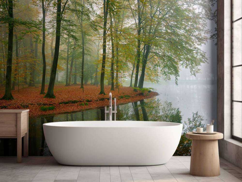 Riflessione degli alberi nello stagno