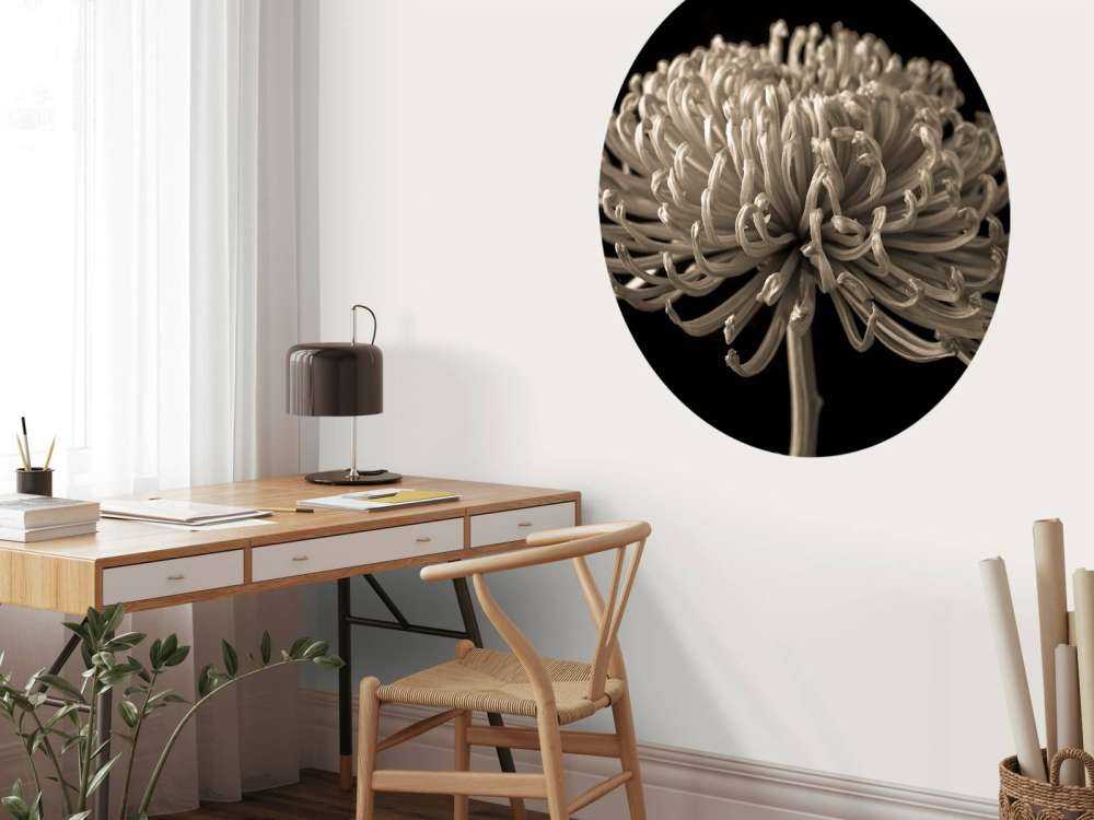 Grande fiore di cosmo