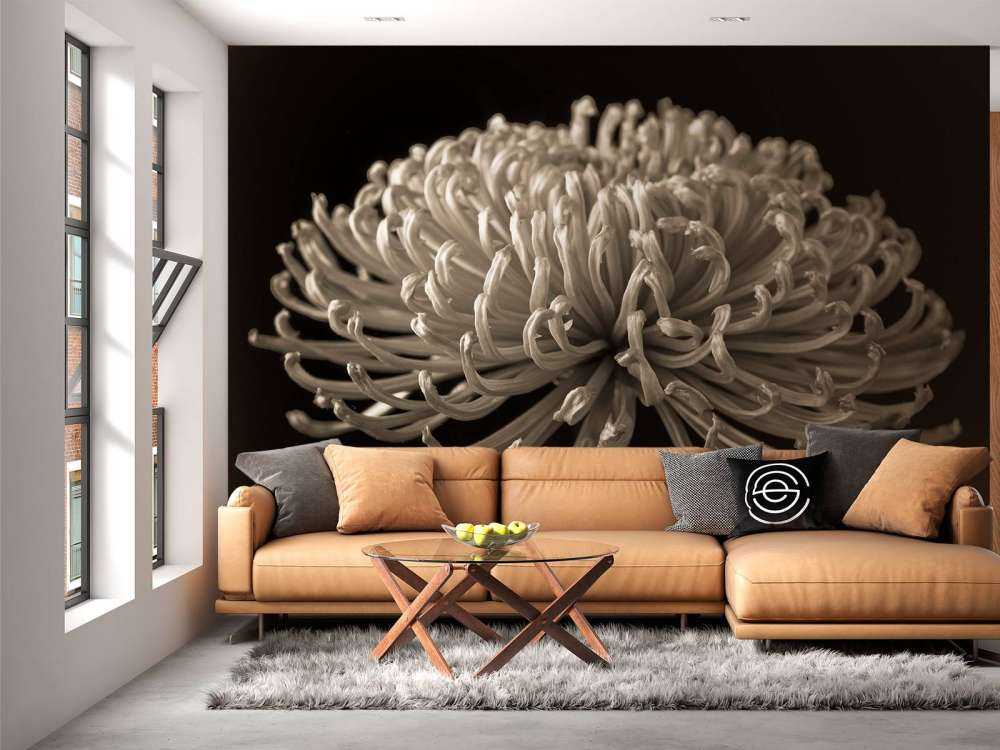 Grande fiore di cosmo