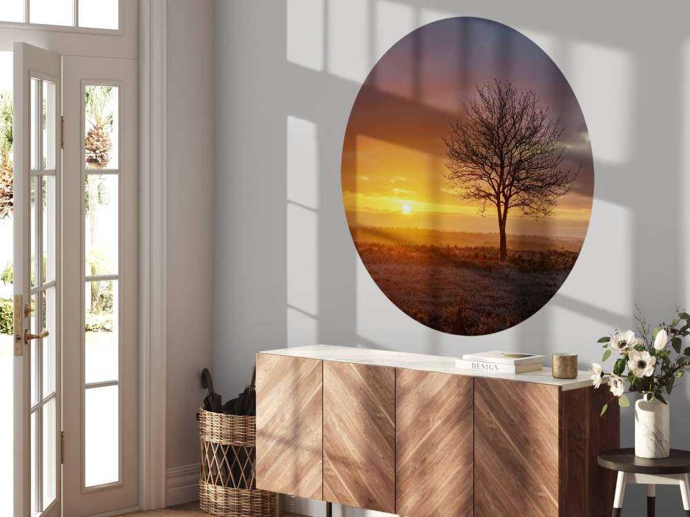 Alba colorata sulla brughiera