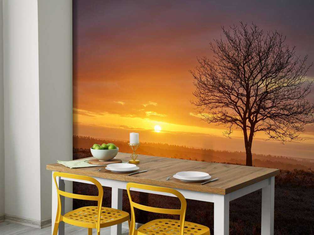 Alba colorata sulla brughiera