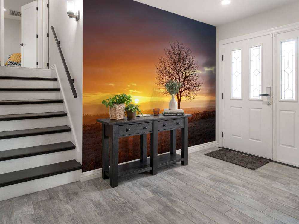 Alba colorata sulla brughiera