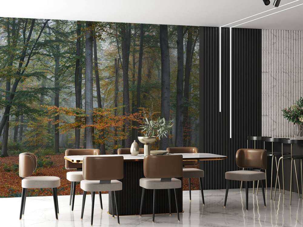 Colori autunnali nella foresta nebbiosa