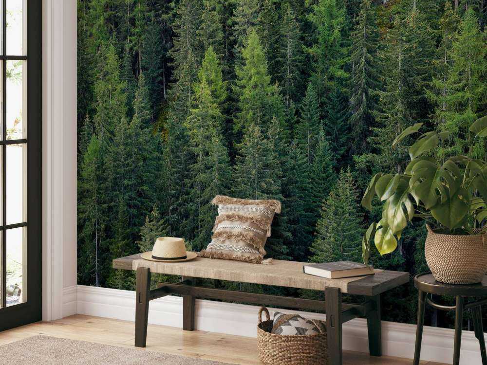 Foresta di abete verde