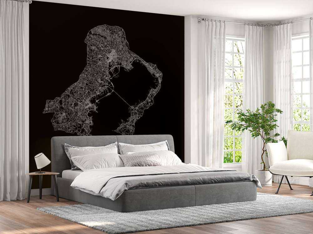 Mappa di Tokyo, nero
