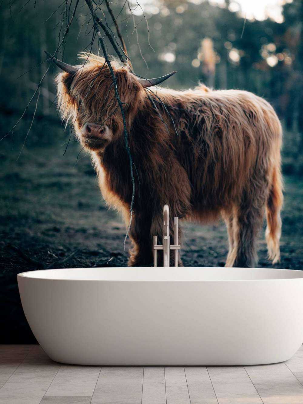 Highlander scozzese ai margini del bosco