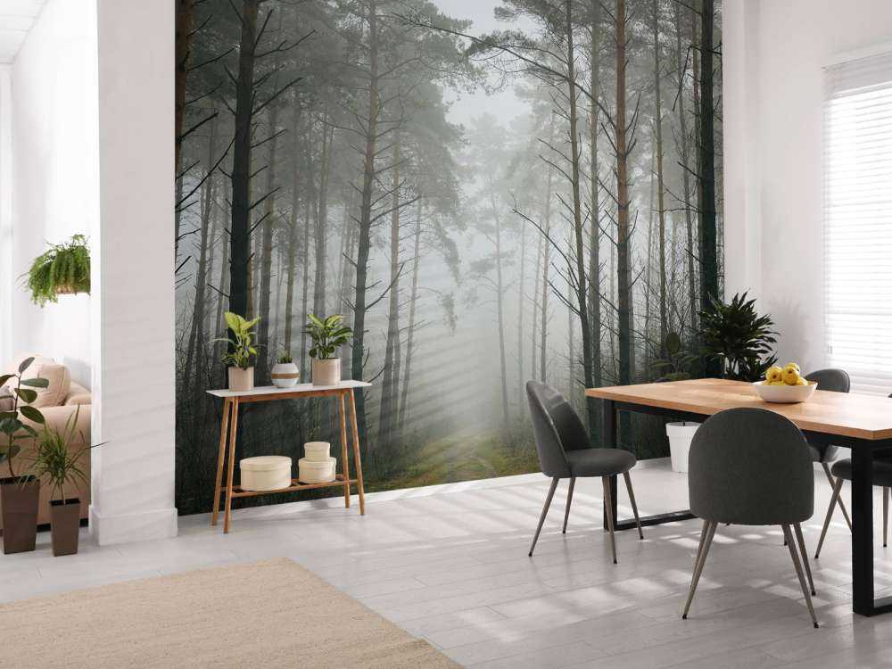 Sentiero nella foresta nebbiosa