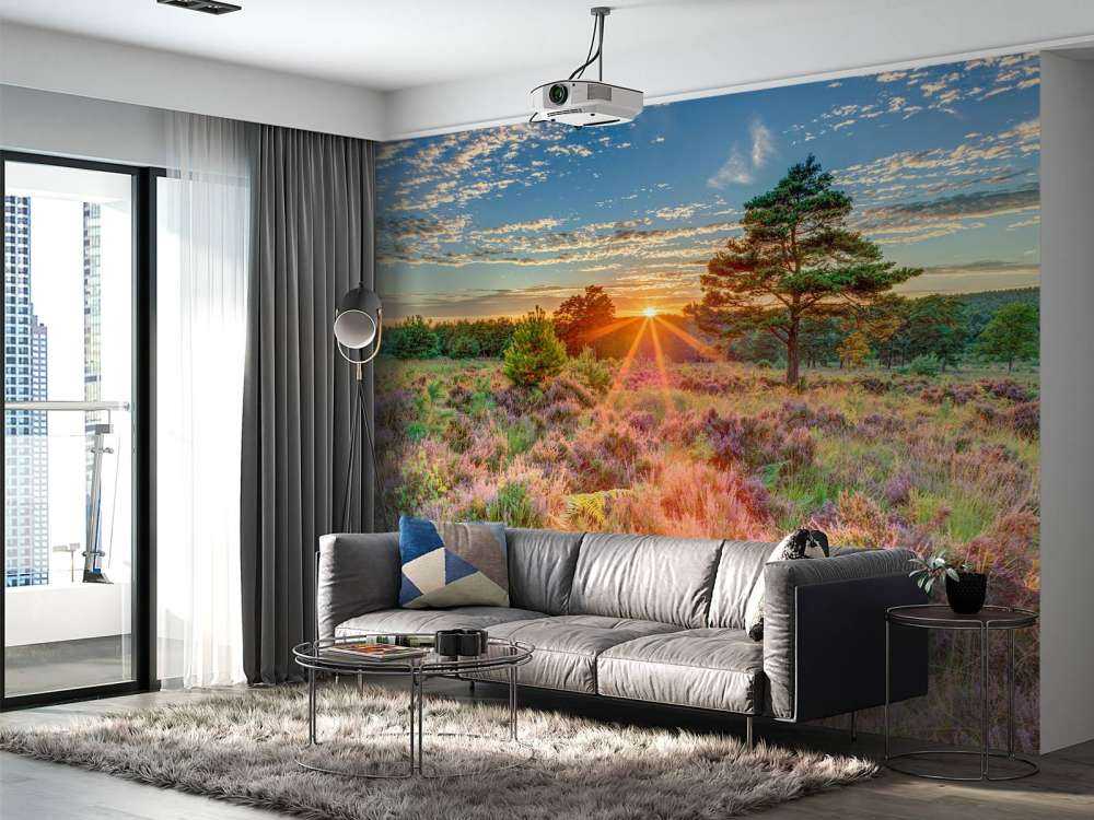 Tramonto in campagna