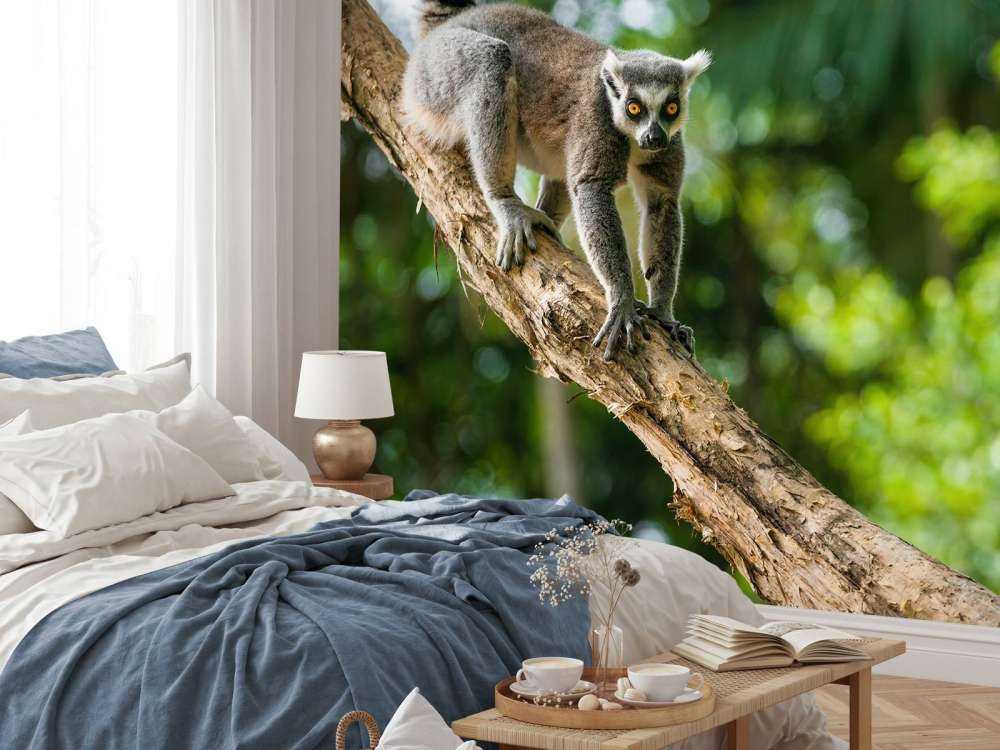 Scimmia dalla coda ad anelli su un albero