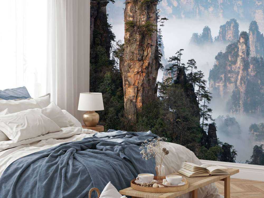 The general ordered the troops