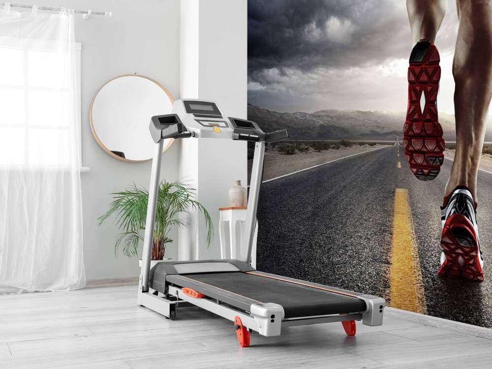 Gambe di un cavaliere