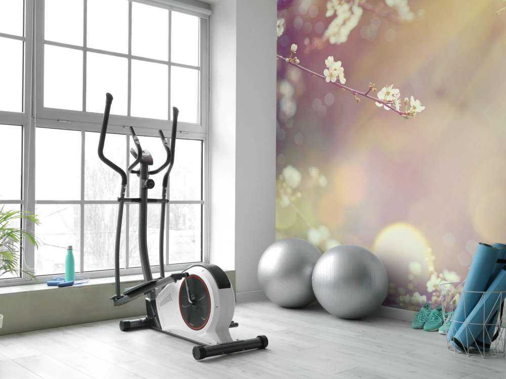 Sbocciare su un ramo