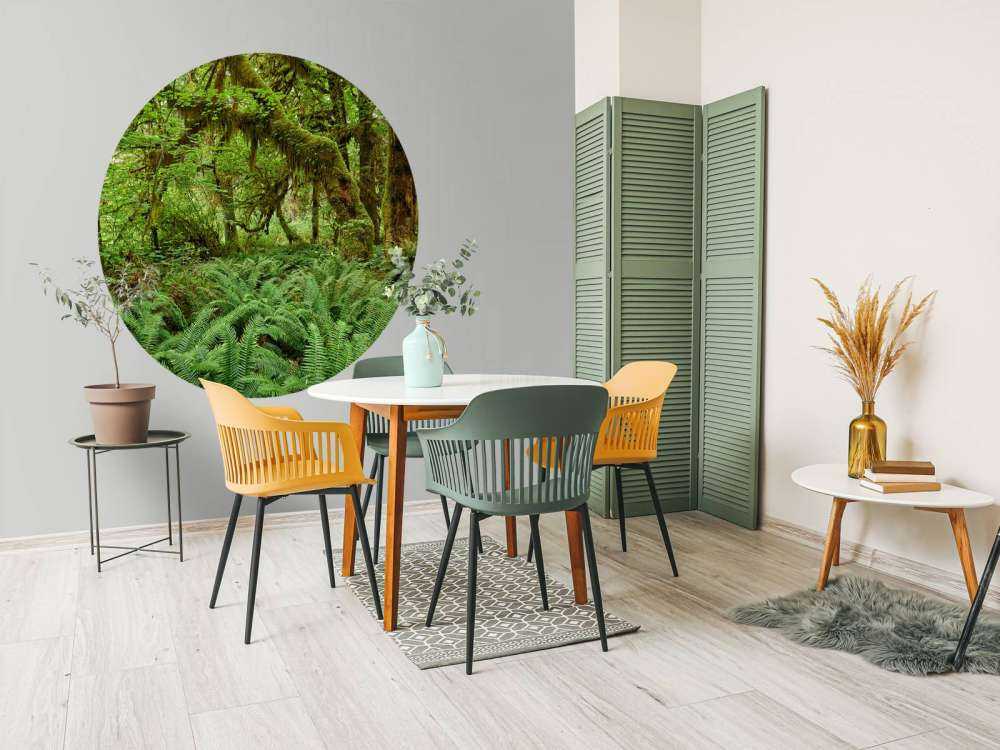 Felci in un vecchio bosco