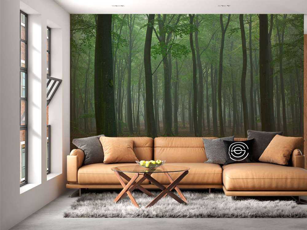 Nebbia nella foresta