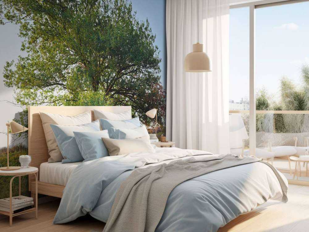 Albero solitario sulla brughiera