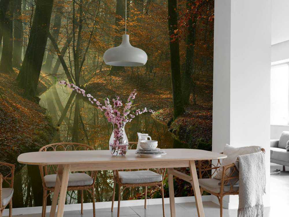 Fiume attraverso la foresta