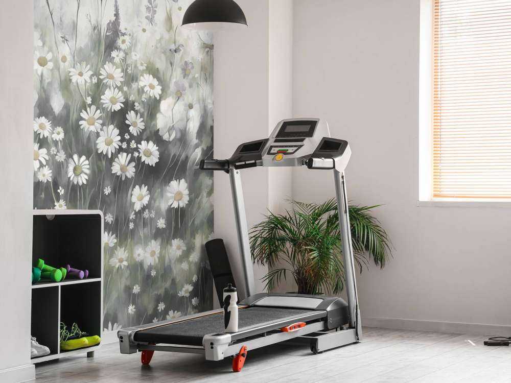 Lussureggiante Verde dell'Olivastro Estivo