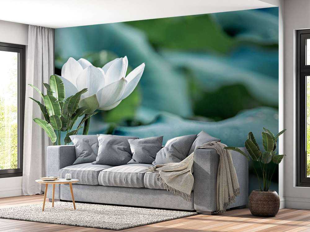 Fiore di loto bianco